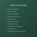 Employment Visa Renewal — Category 2