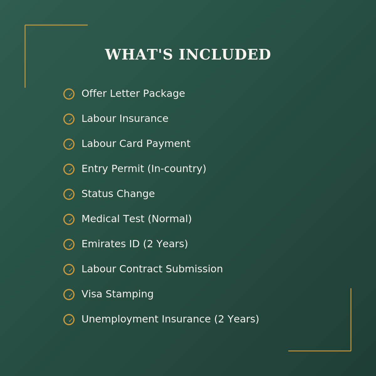 Employment Visa Renewal — Category 2